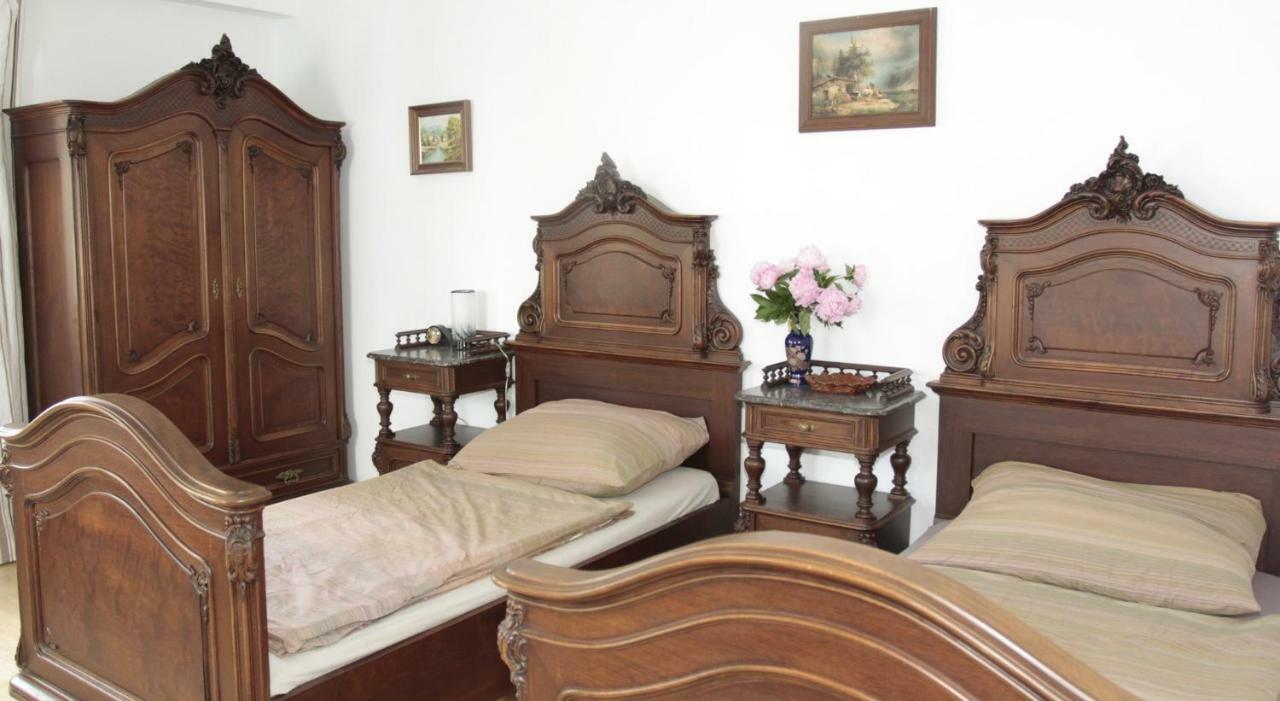 Stay-in 23 * Viena